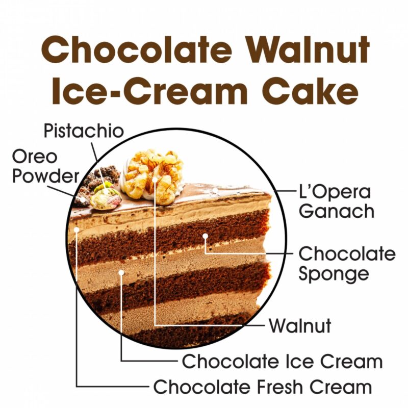 Chocolate Walnut Ice-cream Cake - Image 2